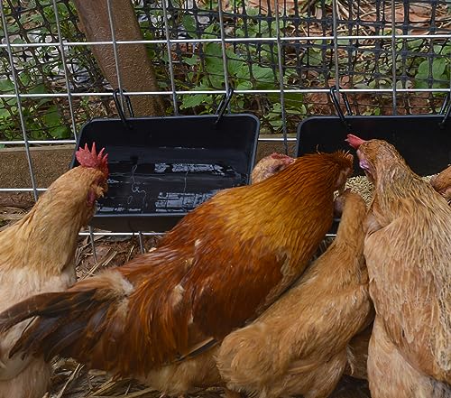 Hanging Chicken Feeder Trough for Goat Sheep Deer Poultry Duck Chicken Fence Feeder Livestock Feeding Container Goats Supplies Feeders Waterer Bucket - color: Black