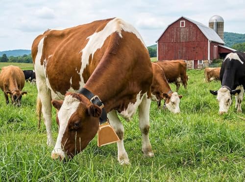 Livestock Cow Bell, Herd Tracking Loud Bell, Cow, Goat Sheep (Bronze, Medium) 5" - size: Medium