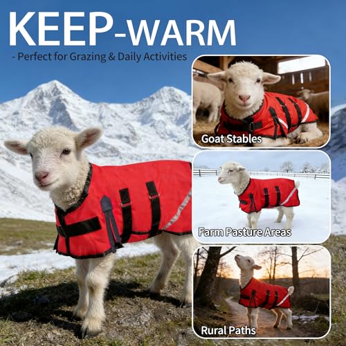 Goat Winter Blanket, Thicken Warm, Waterproof Goats Jacket, with Belly Wrap Adjustable Cold Weather Coat for Goats, Sheep, Calf, Pets&Livestock (Red, S)