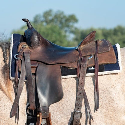 Classic Equine Performance Trainer Saddle Pad, Felt Top, Navy