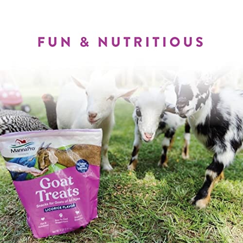 Manna Pro Goat Treats, Licorice Flavor, Nutritious Goat Snacks with Oatmeal, Great-Goat Supplements Alternative, Ideal for Goats, Sheep & Small Livestock, 6 lb (Pack of 2) - size: 6 Pound (Pack of 2)