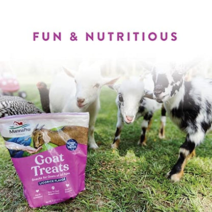 Manna Pro Goat Treats, Licorice Flavor, Nutritious Goat Snacks with Oatmeal, Great-Goat Supplements Alternative, Ideal for Goats, Sheep & Small Livestock, 6 lb (Pack of 2) - size: 6 Pound (Pack of 2)
