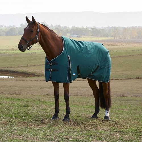 WeatherBeeta ComFiTec Classic Turnout 220g, Forest Green/Black, 63" - size: 63"