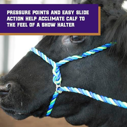 Weaver Leather Livestock Kirk Stierwalt Breaking Halter,Black,8 1/2' - color: Black