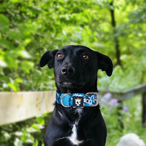 TSPRO Heavy Duty Thick Dog Collar with Metal Buckle for Small Dogs - color: Camo Blue, size: S – Fits Neck 12.6"-15.8"