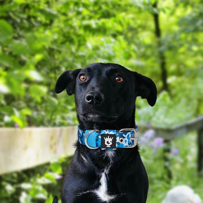 TSPRO Heavy Duty Thick Dog Collar with Metal Buckle for Small Dogs - color: Camo Blue, size: S – Fits Neck 12.6"-15.8"