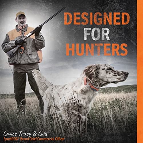 SportDOG Orange Check Cord - High-Visibility Floating Check Cord - Lightweight Tangle-Free Long Dog Training Lead with Heavy-Duty Brass Snap