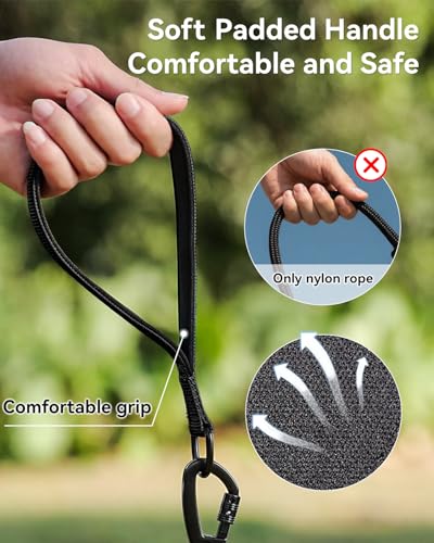 Joytale Long Dog Leash for Yard Tie Out & Recall Training, Black, 15FT - color: Black, size: 15FT