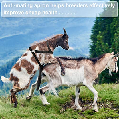 Kajaia Goat Apron Anti Breeding Sheep Skirt - color: Black, size: Small