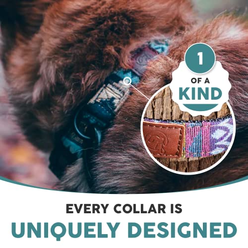 Embark Dog Collar - Adjustable Heavy Duty Outdoor Pet Training Collar - color: Azure, size: Medium