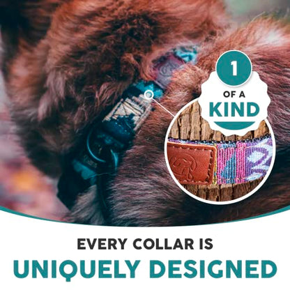 Embark Dog Collar - Adjustable Heavy Duty Outdoor Pet Training Collar - color: Azure, size: Medium