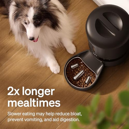 PETLIBRO Automatic Dog Feeder with Camera, Auto Cat Food Dispenser Slow Feeders Dogs Bowl, 1080P HD Video with Night Vision, 5G WiFi with 2-Way Audio, Stainless Steel Slow Food Tray for Small Dogs - color: Black, size: 5L-with Camera & Slow Feed Bowl