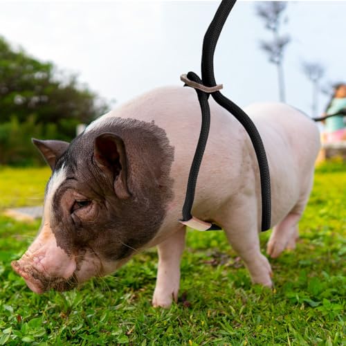 Mini Pig Harness & Leash, Adjustable 8 Feet Long Rope for Small to Medium Pet Pigs - color: Black