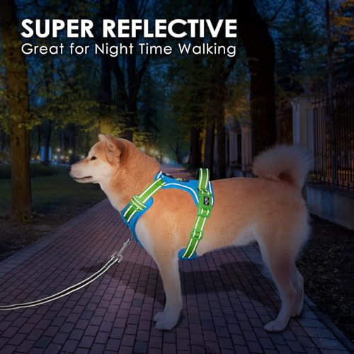 PHOEPET No Pull Dog Harness, Unique Colors Reflective Adjustable Dog Vest - color: Blue Base & Green Straps, size: Large