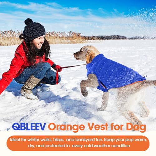 QBLEEV Reversible Dog Jacket, Windproof Dog Coat, Lightweight Puffer Vest - color: Orange-Navy, size: Small