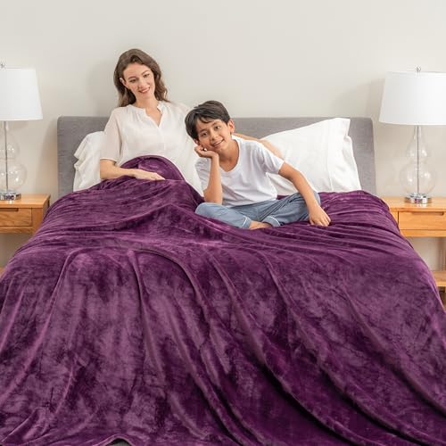 Berkshire Blanket VelvetLoft Big Oversized King Family Blanket, All Season Mid-Weight Ultra Silky and Fuzzy, Seamless Extra Large (Eggplant, 120x120 Inches) - color: Eggplant, size: Oversized King