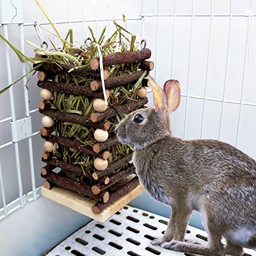 Hanging Apple Wood Rabbit Hay Feeder for Chinchilla Bunny Hamster Gerbil