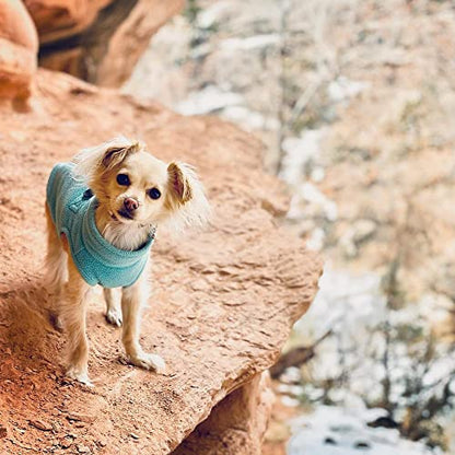 Gooby Zip-Up Fleece Dog Sweater, Turquoise, Small - color: Turquoise, size: Small chest (~13.5")