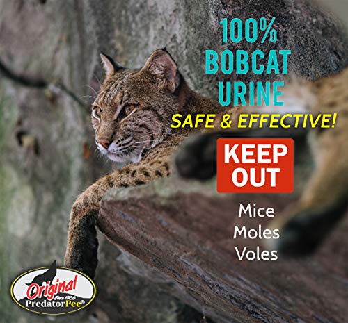 PredatorPee Real Bobcat Urine Natural Predator Scent Outdoor Garden - size: 16 oz