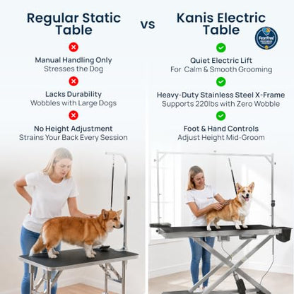 KANIS 60" Professional Electric Dog Grooming Table, 304 Steel, Heavy Duty - color: STAINLESS STEEL, size: 60"