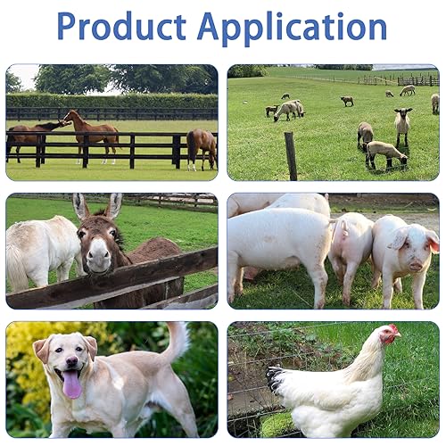 Electric Fence Energizer Plus 250,Electric Fence Charger and 17 Gauge Spool Aluminum Wire PE2 0.10 Joule,Livestock Fence Chargers for Containing Pets and Keeping Out Small Nuisance Animals - color: 0.10 Joule With accessories