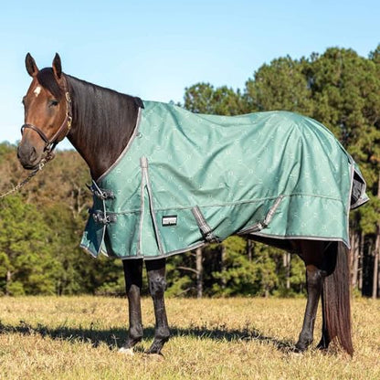 Jeffers Poplar Head Uniquely English 1200 Denier Turnout Blanket, 240 Gram, Spruce Stirrup Irons, 66" - size: 66 in