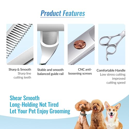 Dog Grooming Scissors: 5 in 1 Pet Shears Set Made Of Japanese 440c Advanced Stainless Steel Professional Grooming Scissors for Dogs Cats and Other Pets