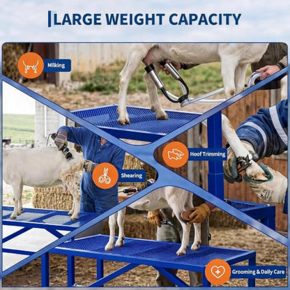 47 inch Heavy Duty 600LBS Goat Milking Stand with Feeder - color: Blue