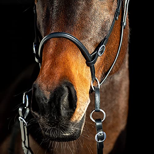 HORZE Genuine Leather Cross-Under Bitless Bridle | Includes Web Reins with Hand Stops - size: Cob