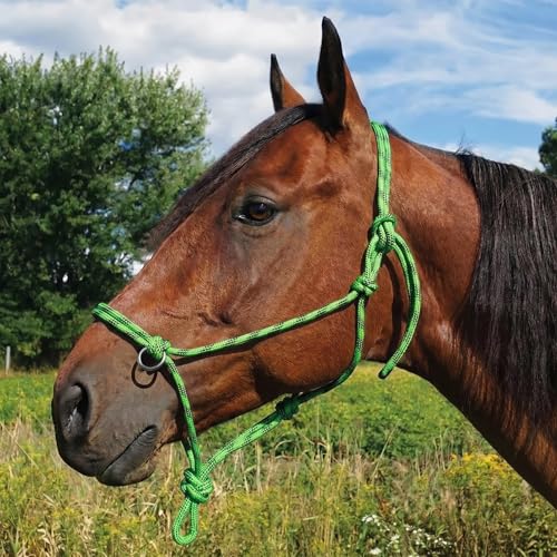 Southwestern Equine Side Pull Rope Halters with Nickle Plated Rings - color: Green/Black