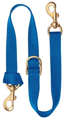 Weaver Leather Deluxe Nylon Tie Down Strap, Blue, 1"x40" Adjustable
