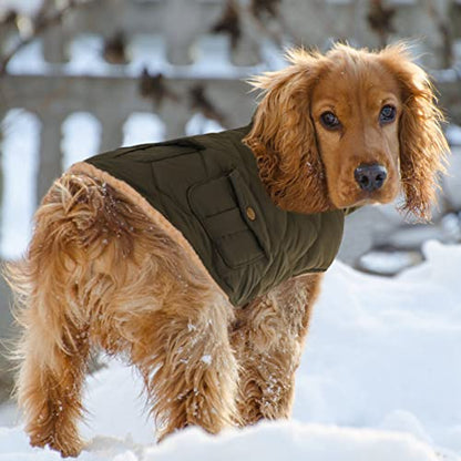 Queenmore Warm Puffer Dog Coat Thick Plush Quilting Small Winter Jacket - color: Green, size: Small