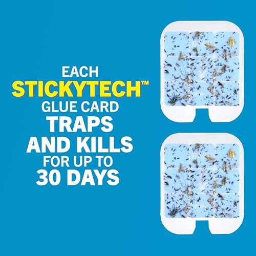 Safer Home Catch 360° Cordless Flying Insect Trap - size: 1 Cordless Trap + 6 Glue Cards