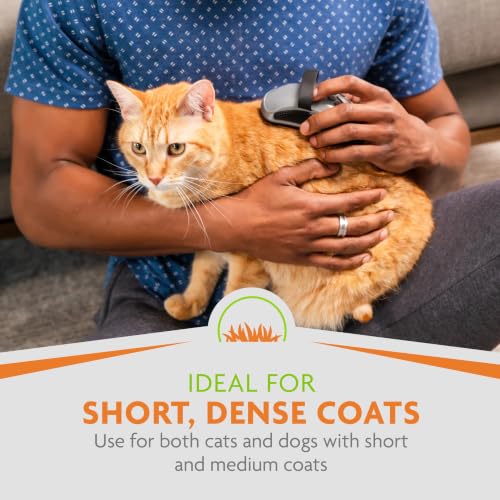 FURminator Curry Comb for Dogs & Cats With Short, Dense Coats | Removes Dust & Loose Hair, Distributes Natural Oils for Healthy Coat, Ideal for Short & Medium Coats, For Daily Use
