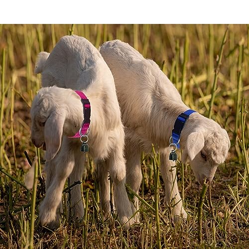 Goat Collars With Bell, 3 Pack Adjustable Nylon Collar Set For Sheep, Cow, Horse, Anti-Lost Bronze Bell Accessories For Small Farm Animal Pets