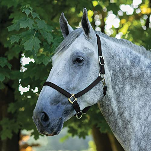 Dura-Tech Draft Horse Nylon Breakaway Turnout Halter Turnout Halter for Draft Horses | Enhanced Safety Breakaway Tab | Robust Nylon Construction