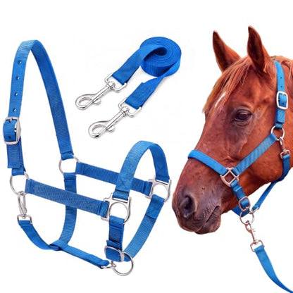 2 Pack Nylon Horse Halter with Reins Adjustable | Training, Show, Pony, Padded, Reinforced, Brass Snap, Equine Stable Supply - color: Blue
