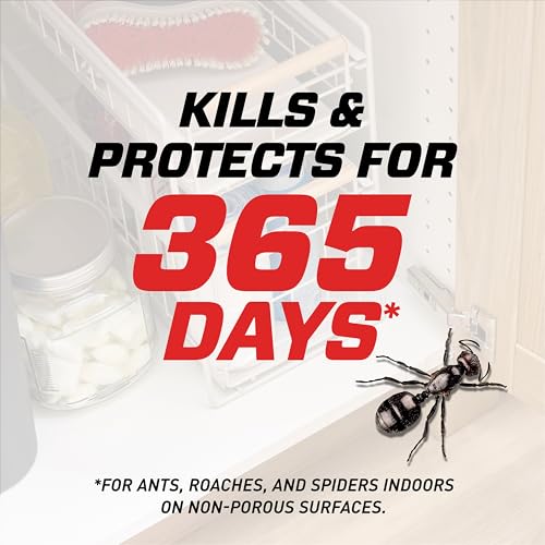 Ortho Home Defense Max Indoor Insect Barrier, 9 fl. oz. with Refill | Kills Ants, Roaches, Spiders, Fleas and Ticks, 360 Sprayer - color: Flairosol + Refill