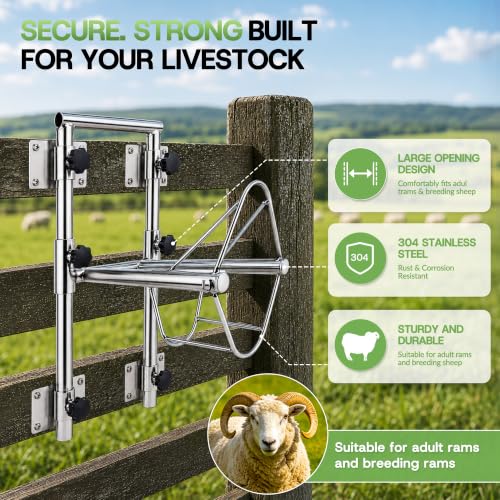 Goat Sheep Stand for Shearing & Milking with Bottom Hook & Dual Mounting 304 Stainless Steel Goat Stand – Adjustable Height for Farm, Ranch & Veterinary Use