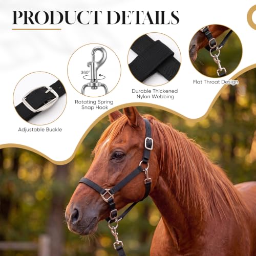 2 Pack Nylon Horse Halter with Reins Adjustable | Training, Show, Pony, Padded, Reinforced, Brass Snap, Equine Stable Supply - color: Black