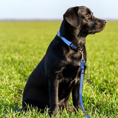 Hamilton 4 ft Nylon Dog Leash, Medium/Large 1" x 4', Black - color: Black, size: 1" x 4'