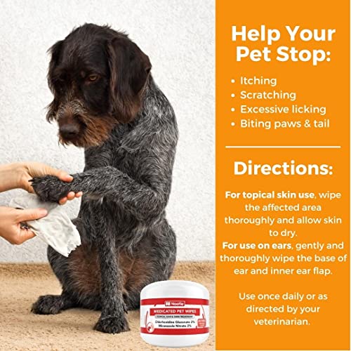 Nootie Medicated Dog Wipes, Chlorhexidine & Miconazole Pet Wipe for Dogs & Cats - 2” Small Wipes, 60 Count - Sold in Over 10,000 Vets & Pet Stores (Pack of 2) - size: 60 Count (Pack of 2)