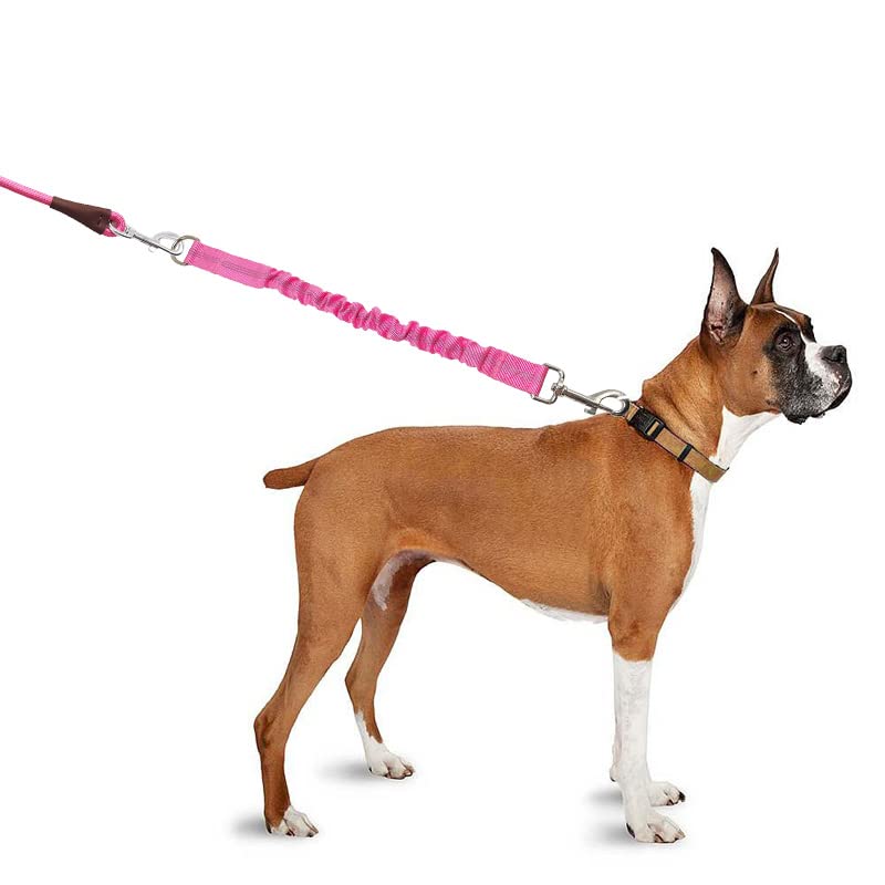 30FT Dog Tie-Out Rope + Bungee Dog Leash Extension