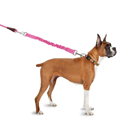 30FT Dog Tie-Out Rope + Bungee Dog Leash Extension