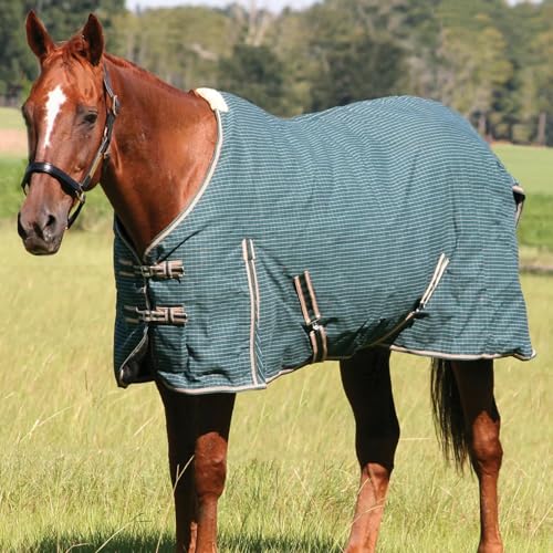 Jeffers Equine Basic Canvas Horse Blanket, 78" – Water Resistant Turnout Blanket for Horses, Pony, Draft – Breathable, Adjustable Straps, Tail Flap, Shoulder Gussets, Barn Gear - Green Tan Check - size: 78 in