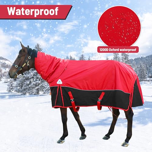 Surcingle Turnout Blankets for Horse,1680D Winter Water-Resistant HorseTrunout Sheets, 300g Warm Polyester Filling Liner, Medium Weight with Turnout Neck Cover Detachable (US 78 in/EU 145 cm) - size: US 78 in/EU 145 cm