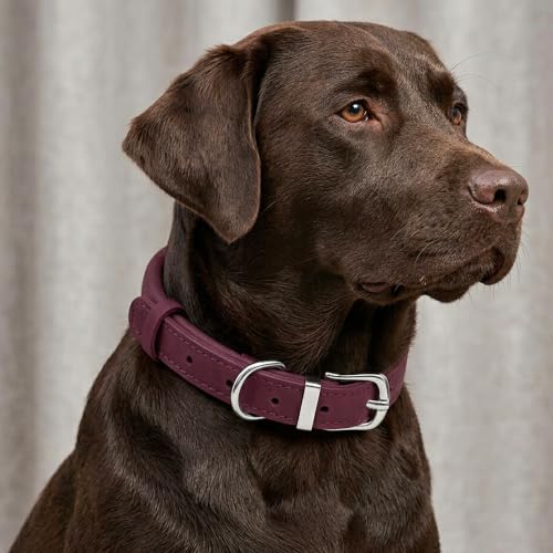 OOPSDOGGY Rolled Leather Dog Collar Reflective – Genuine Leather Round Dog Collar for Small Medium Large Dogs (Burgundy, 14" – 18") - color: Burgundy, size: 14" – 18"
