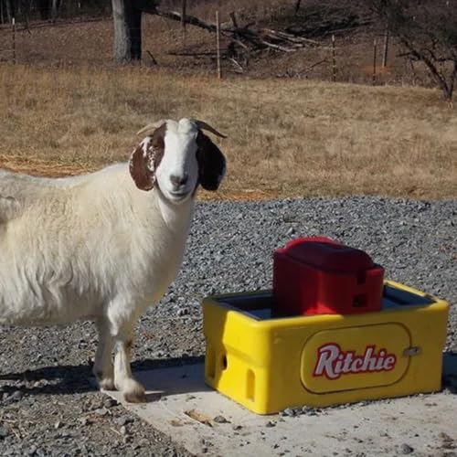 Ritchie OmniFount 2 Special Yellow Heated Stainless Livestock Waterer 18680