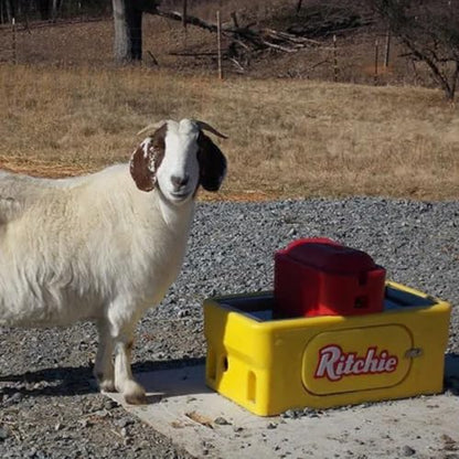 Ritchie OmniFount 2 Special Yellow Heated Stainless Livestock Waterer 18680