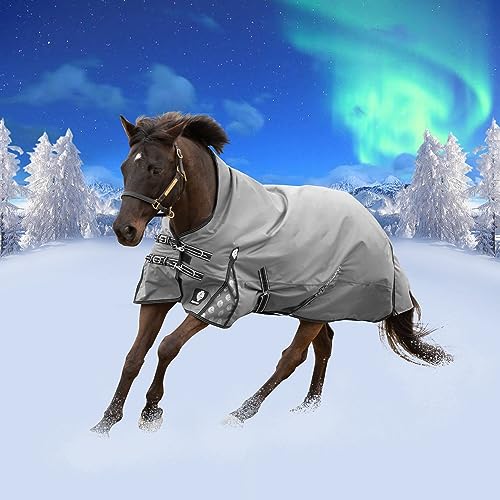 Equinavia Arktis Extended Neck Mid Weight Turnout Blanket 200g - Charcoal Gray - 78 in - color: Charcoal Gray, size: US 78 in